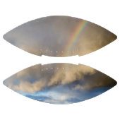 Regenbogenrebellion Football (Paneele)