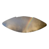 Regenbogenrebellion Football (Panel)