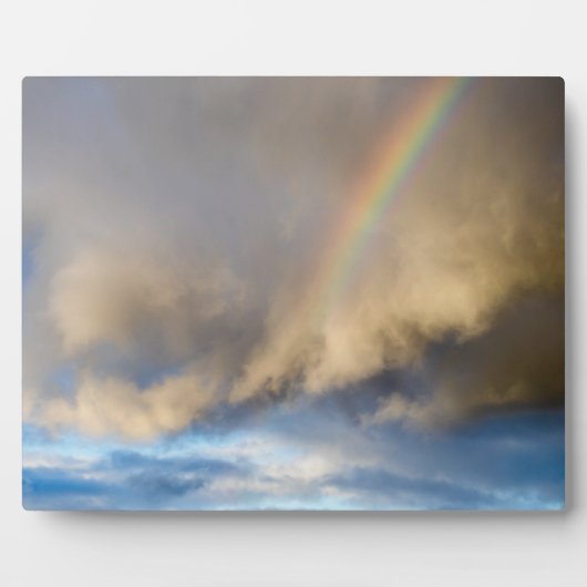 Regenbogenrebellion Fotoplatte (Vorderseite)