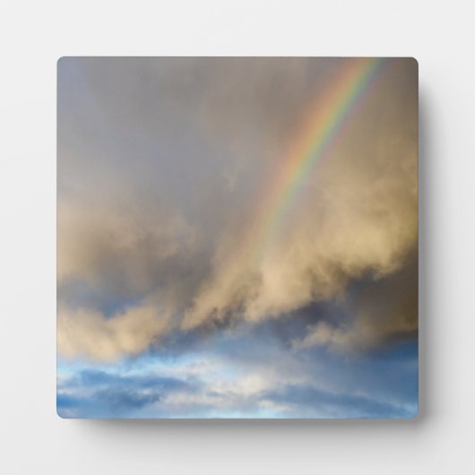 Regenbogenrebellion Fotoplatte (Vorderseite)