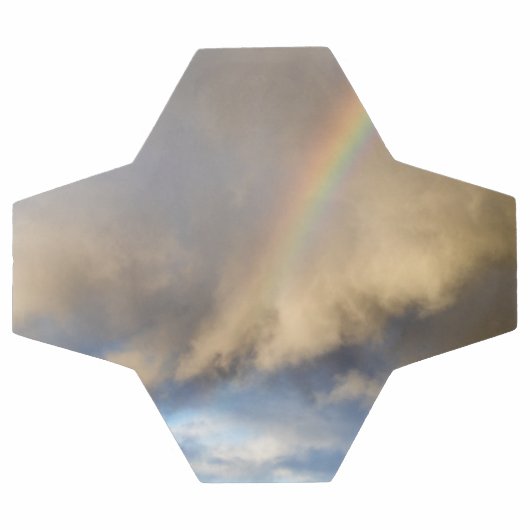 Regenbogenrebellion Fußball (Flach)