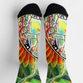 Regenbogenschlange socken (Oben)