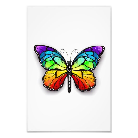 Regenbogenschmetterling Monarch Fotodruck (Vorne)