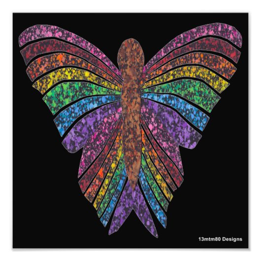 Regenbogenschmetterling (schwarz) - Foto Print (Vorne)
