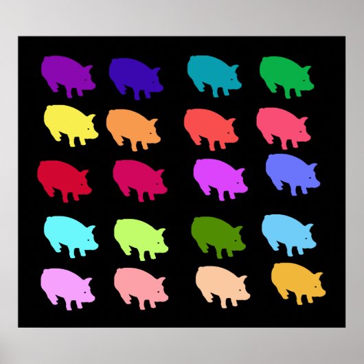 Regenbogenschweine Poster (Vorne)