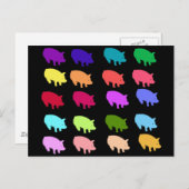 Regenbogenschweine Postkarte (Vorne/Hinten)