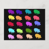 Regenbogenschweine Postkarte (Vorderseite)