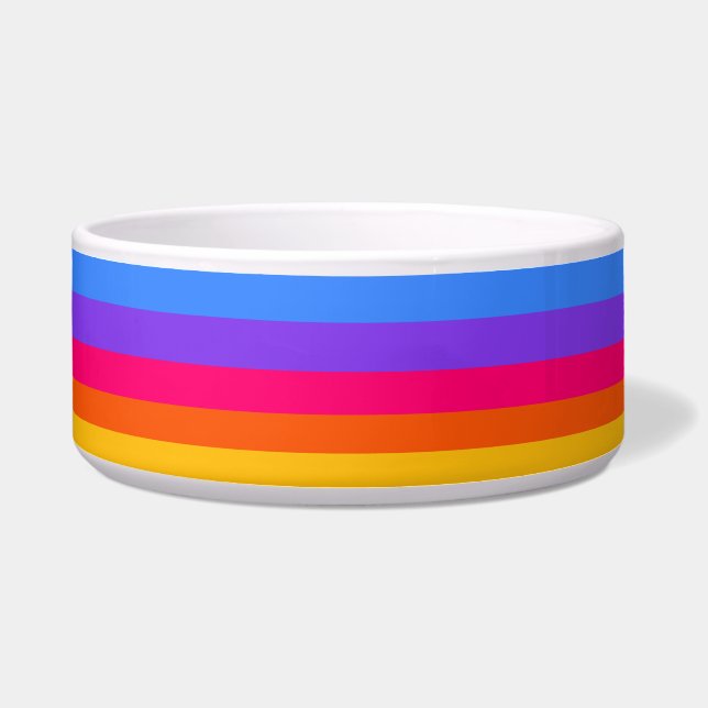 Regenbogenstreifen Napf (Vorderseite)
