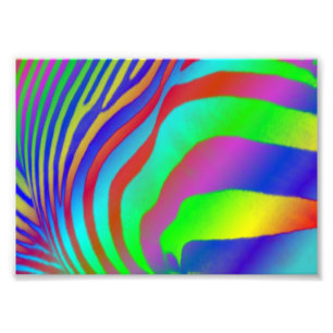 Regenbogenzebra-Druck Fotodruck