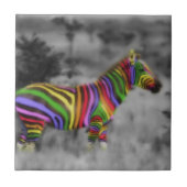 RegenbogenZebra Fliese (Vorderseite)