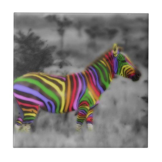 RegenbogenZebra Fliese (Vorderseite)