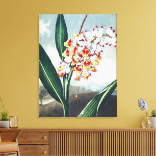 Regency-Stil Weiße Gelbe Exotische Blumendekoratio Leinwanddruck