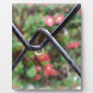 Regenfall Fotoplatte