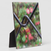 Regenfall Fotoplatte (Seite)