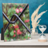 Regenfall Fotoplatte (Seite)