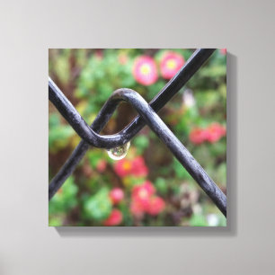 Regenfall Leinwanddruck