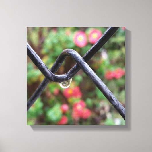 Regenfall Leinwanddruck (Vorderseite)