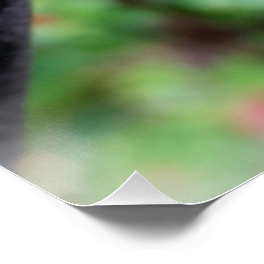 Regenfall Poster (Ecke)