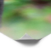 Regenfall Poster (Ecke)