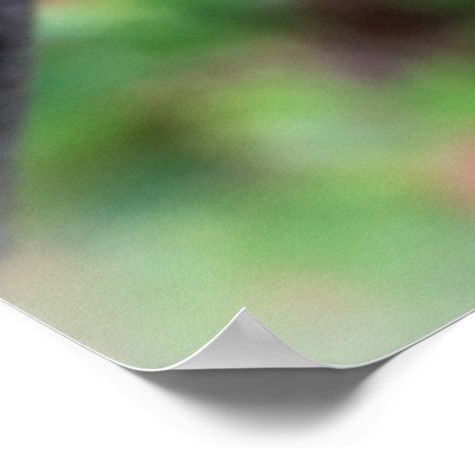 Regenfall Poster (Ecke)