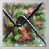 Regenfall Poster (Vorne)