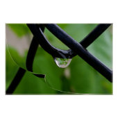 Regenfall Poster (Vorderseite)