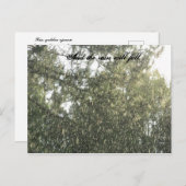Regenfall Postkarte (Vorne/Hinten)
