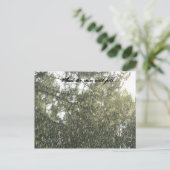 Regenfall Postkarte (Stehend Vorderseite)