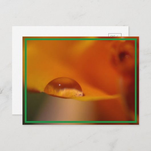 Regenfall Postkarte (Vorne/Hinten)