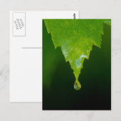 Regenfall Postkarte (Vorne/Hinten)
