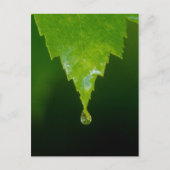 Regenfall Postkarte (Vorderseite)