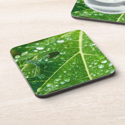 Regenfälle auf dem tropischen Grünpapayasailef Untersetzer (Linke Seite)