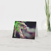 Regenfälle auf der linken Seite des Denkens auf de Karte (Rückseite)