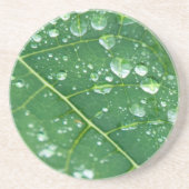 Regenfälle auf Papaya-Leaf Getränkeuntersetzer (Vorne)