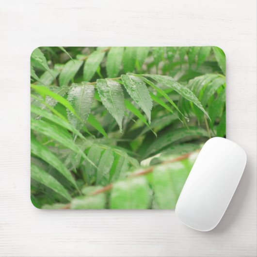 Regenfälle auf sumac-Blätter Mousepad (Mit Mouse)