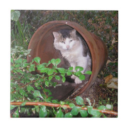 Regenfälle Behielt auf meinen Kopf herunter! Fliese