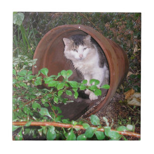 Regenfälle Behielt auf meinen Kopf herunter! Fliese