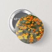 regengefallene Blätter Button (Vorne & Hinten)