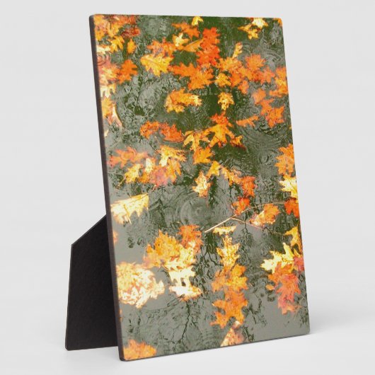 regengefallene Blätter Fotoplatte (Seite)