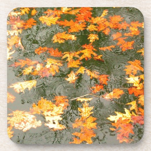 regengefallene Blätter Getränkeuntersetzer (Vorderseite)