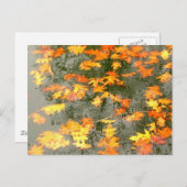 regengefallene Blätter Postkarte (Vorne/Hinten)