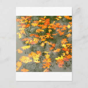 regengefallene Blätter Postkarte