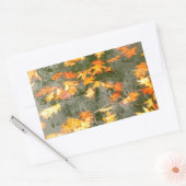 regengefallene Blätter Rechteckiger Aufkleber (Umschlag)