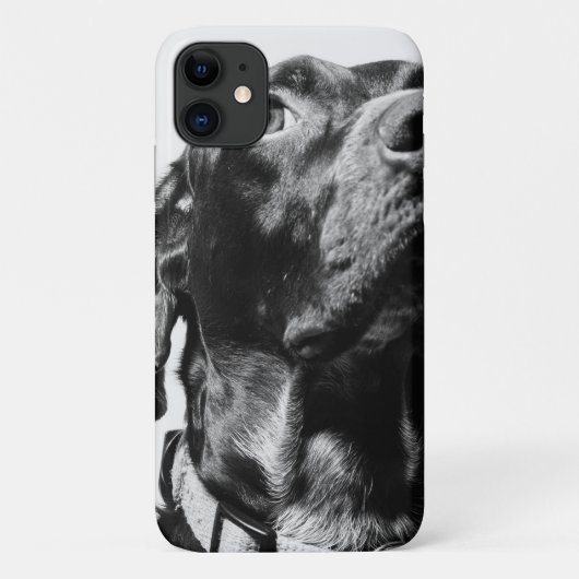 Regenhund Case-Mate iPhone Hülle (Rückseite)