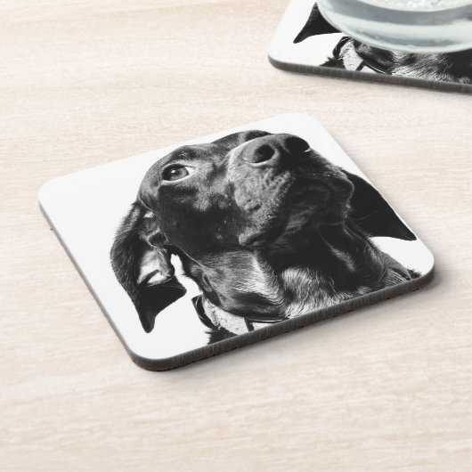 Regenhund Getränkeuntersetzer (Linke Seite)