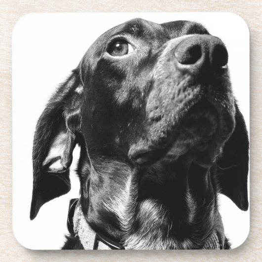 Regenhund Getränkeuntersetzer (Vorderseite)