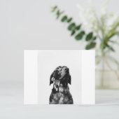 Regenhund Postkarte (Stehend Vorderseite)