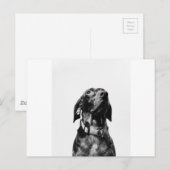 Regenhund Postkarte (Vorne/Hinten)