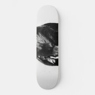 Regenhund Skateboard