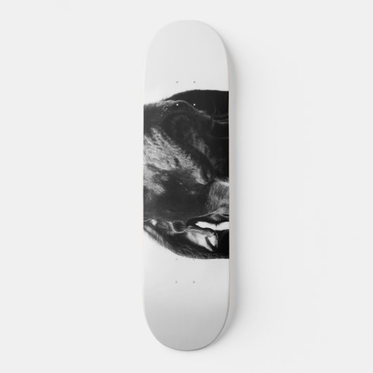 Regenhund Skateboard (Vorderseite)